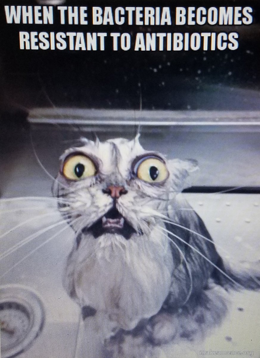 Image result for antibiotic resistance meme